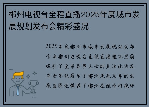郴州电视台全程直播2025年度城市发展规划发布会精彩盛况