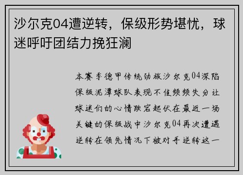 沙尔克04遭逆转，保级形势堪忧，球迷呼吁团结力挽狂澜